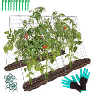 Outdoor Garden Trellis for Climbing Plants Vegetables with Support Clips - Massive Discounts