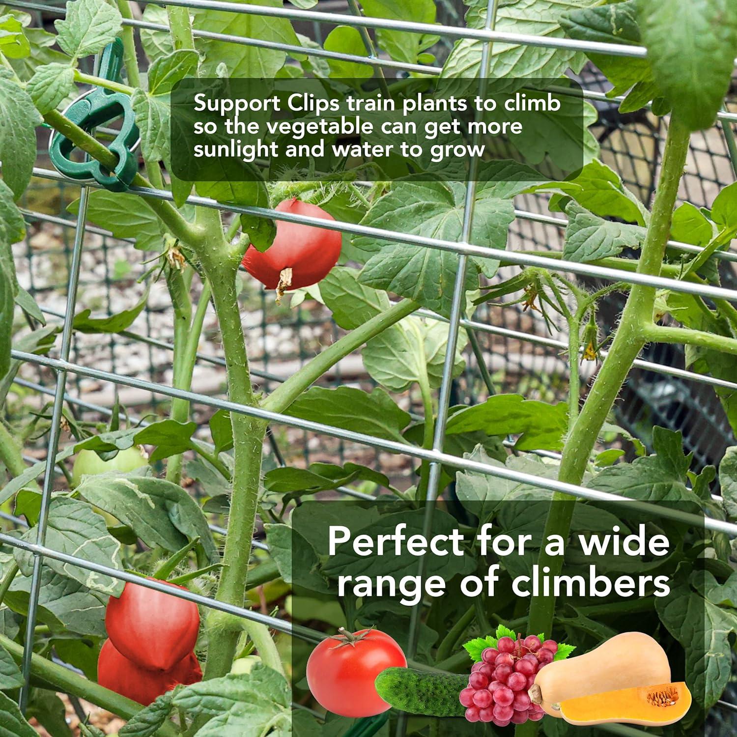 Outdoor Garden Trellis for Climbing Plants Vegetables with Support Clips - Massive Discounts