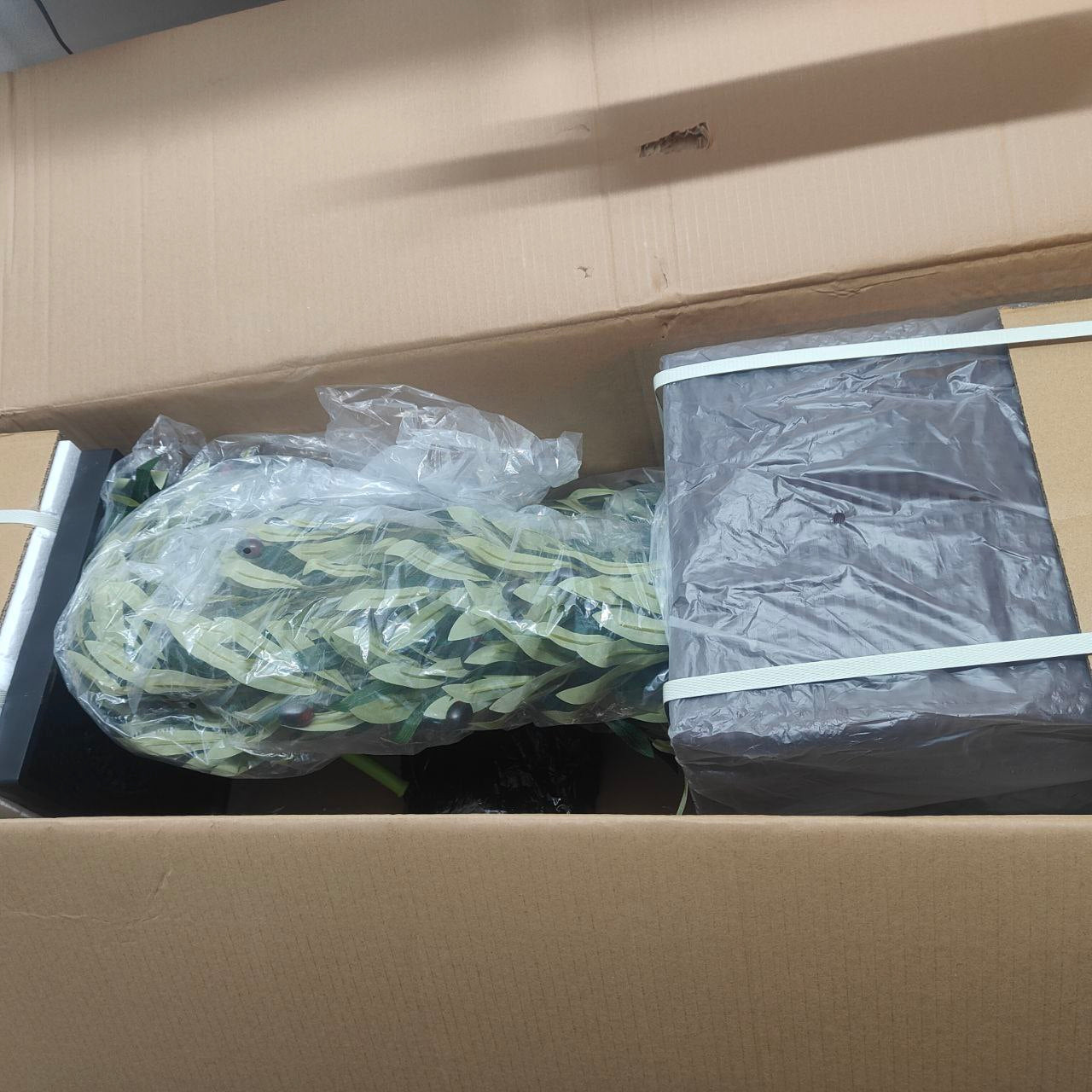 Cardboard box with plastic-wrapped items inside, including a plant and a rectangular object.