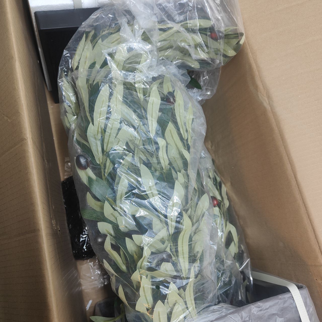 Green leaf-patterned product inside a cardboard box