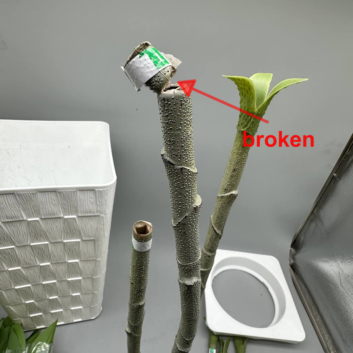 Artificial Dracaena Tree 6FT Tall Faux Indoor Plant White Planter FOSHOI Decor