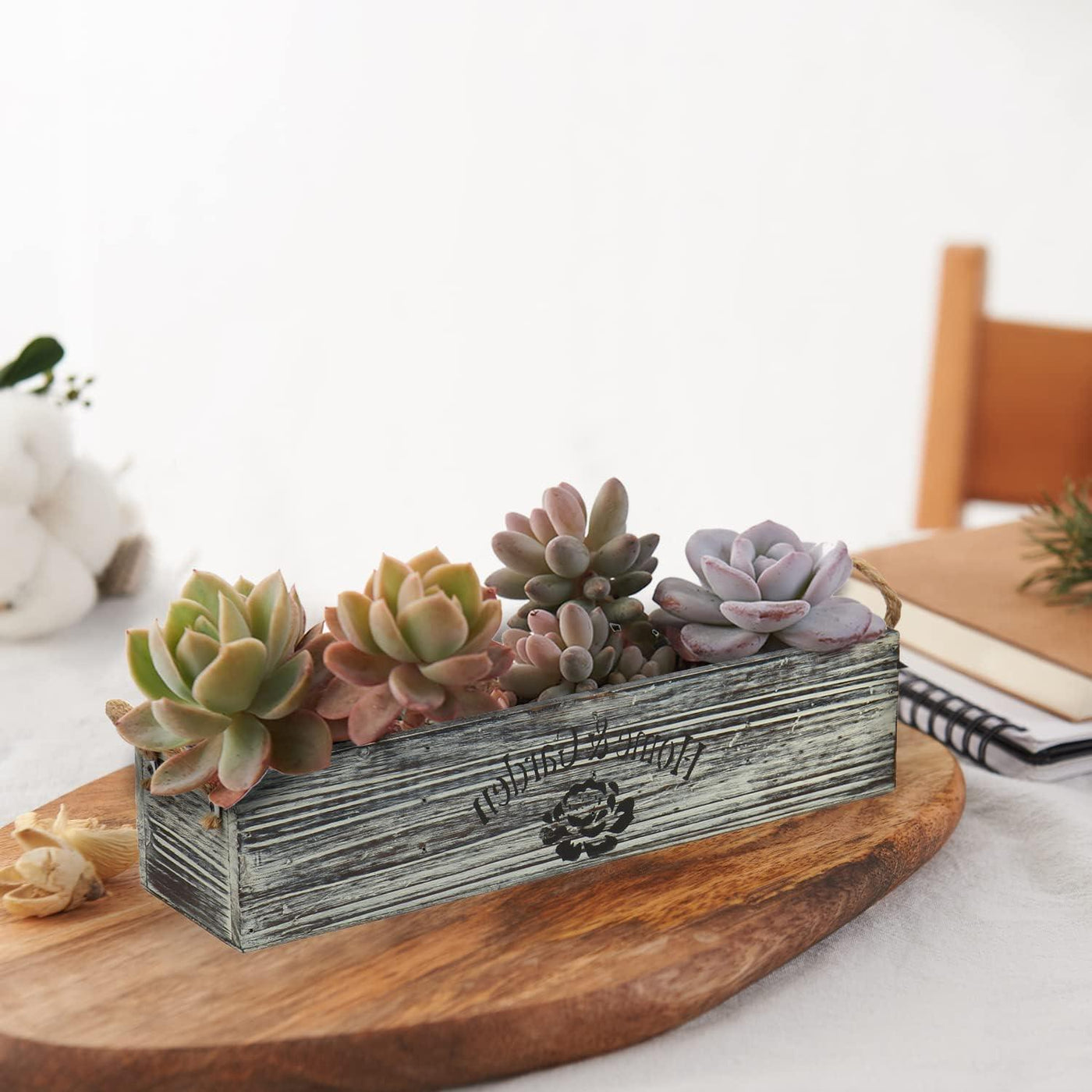 Rustic Succulent Plant Pot with 4 Inner Plastic Box For for Cactus - Massive Discounts