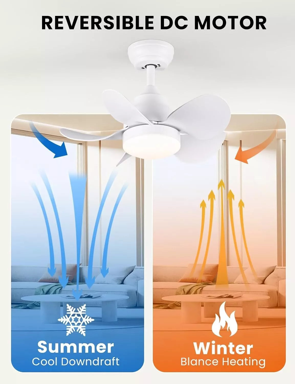 CJOY 22" Ceiling Fan with Light & Remote, Dimmable LED, Quiet Reversible Motor