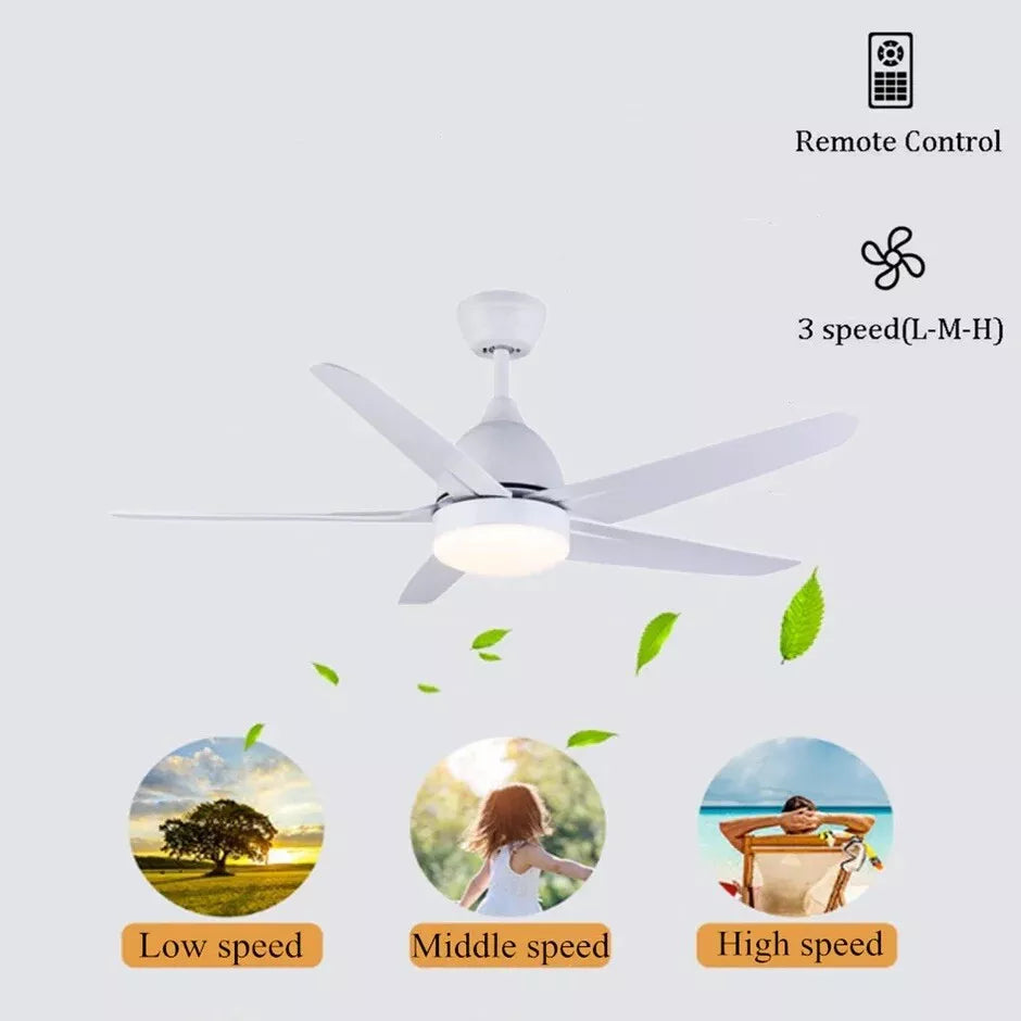 CJOY 52" Ceiling Fan with Light & Remote, Quiet AC Motor, 5 ABS Blades, White