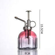 Glass Plant Mister Spray Bottle, 6.3inch Tall Vintage Plant Spritzer - Massive Discounts