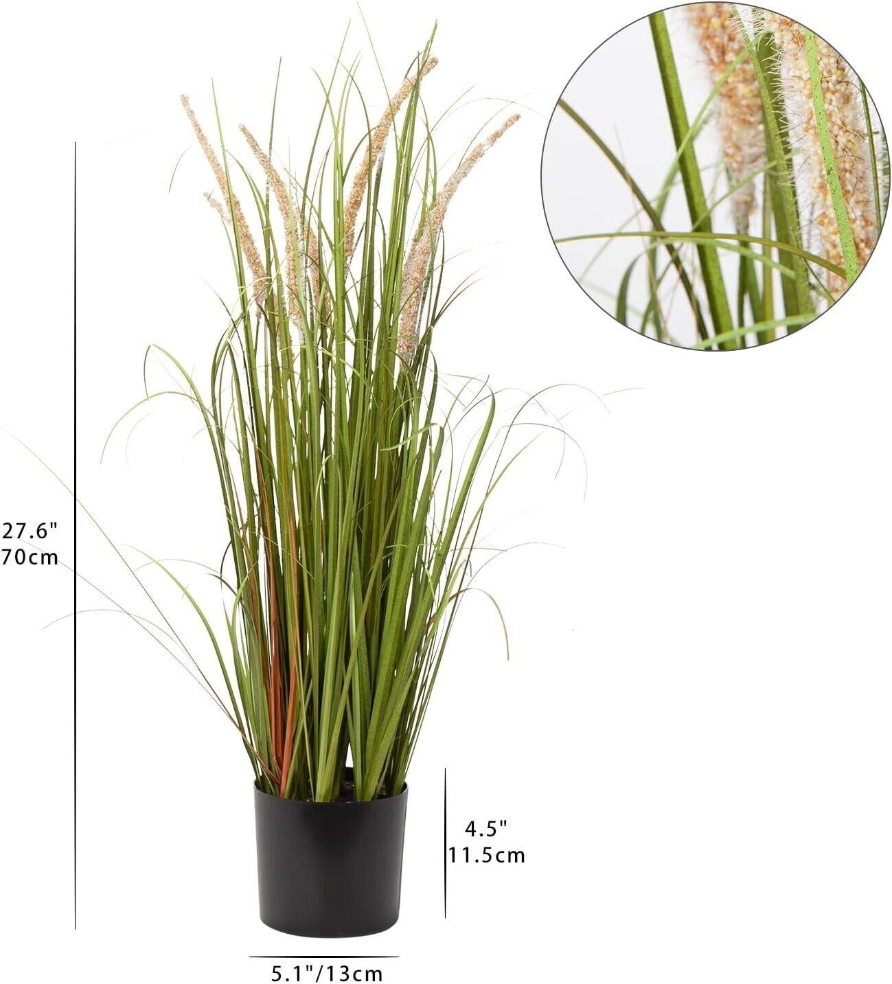 Hollyone 70CM Artificial Plant White Foxtail Pampas Grass, Plastic Plants Grass - Massive Discounts